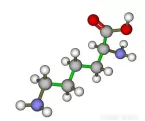 Amino acids